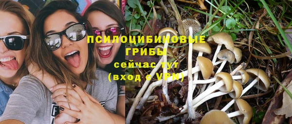 спайс Абаза