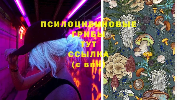 спайс Абаза