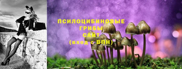 спайс Абаза