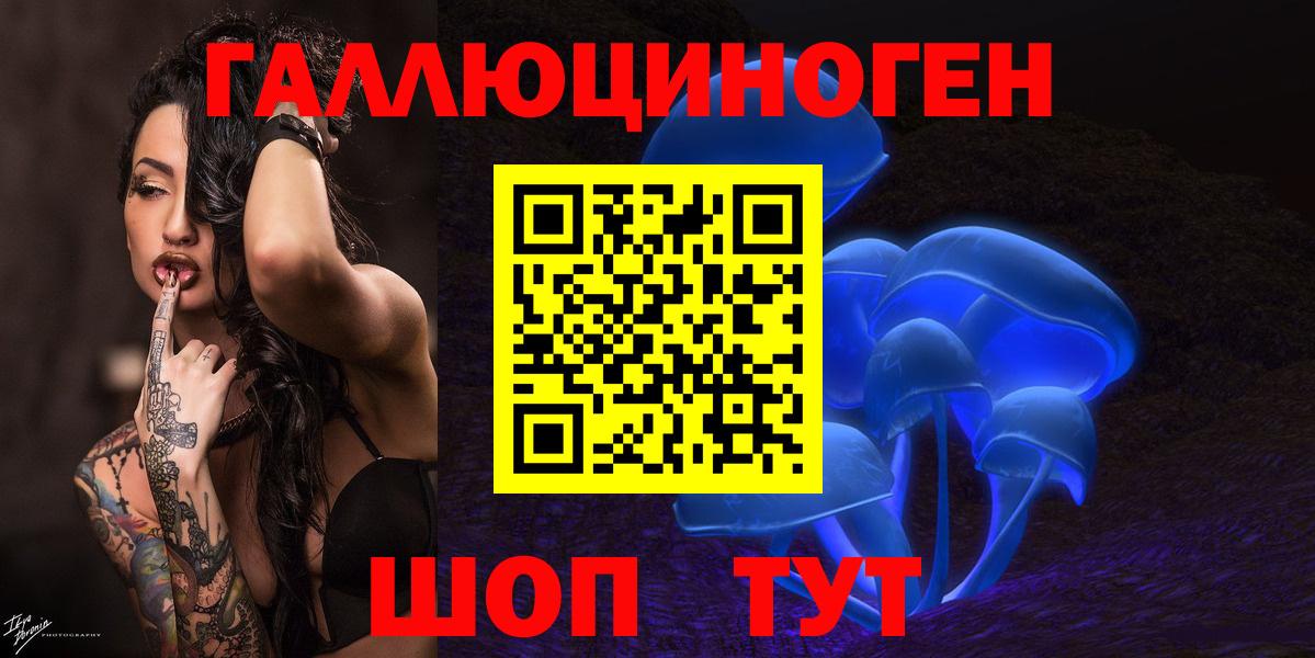 Галлюциногенные грибы Psilocybe  Вход с VPN  Воронеж 